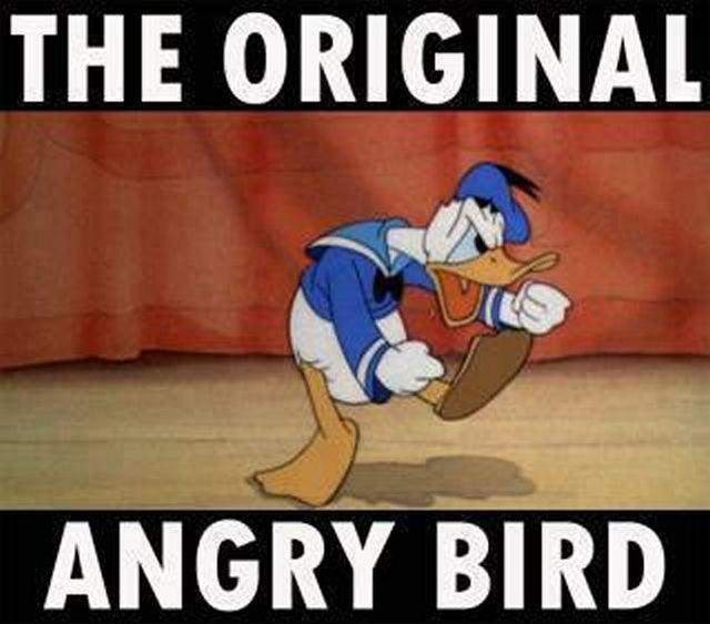 angry_bird.jpg