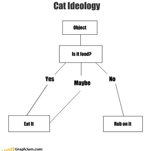 funny-graphs-cat-ideology