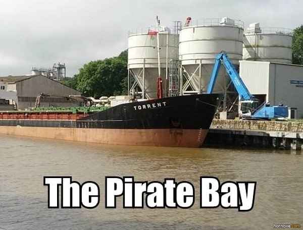 the pirate bay