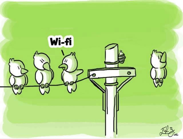 wifi