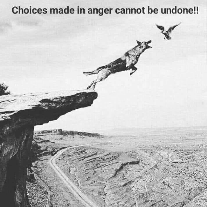 choices anger