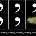 comma chameleon