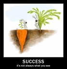 success it s not always what you see
