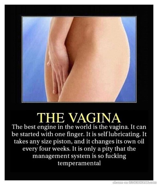 the_vagina.jpg
