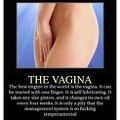 the vagina