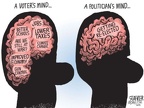 voter s vs politician s mind